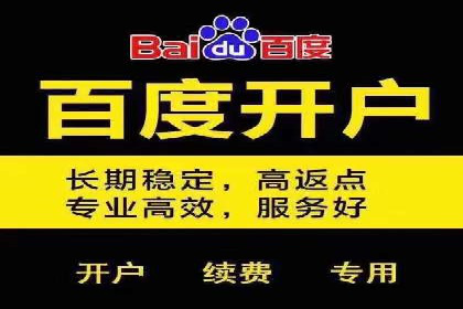 百度推广竞价下的营销创新：某公司的成功经验分享